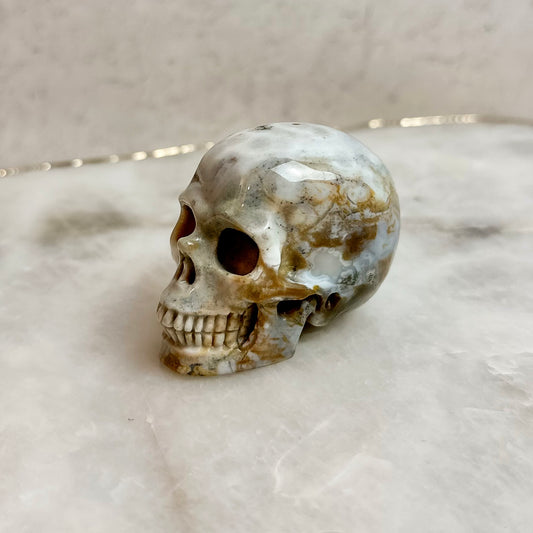 Ocean Jasper Skull